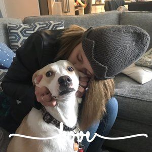 Meet your Posher, Meredith